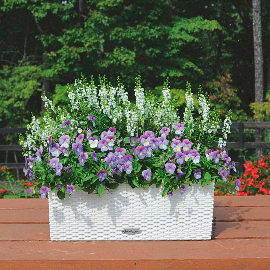 Lechuza Balconera 80 Pflanzgefäß Komplettset Weiß 1 Lechuza Balconera 80 Pflanzgefäß Komplettset Weiß