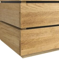 OUTLIV. Flora Pflanzgefäß Wildeiche 10 OUTLIV. Flora Pflanzgefäß Wildeiche -Garten Paradies Verkauf outliv by detlef steves flora pflanzgefaess 40x41x39cm wildeiche 1354081 3